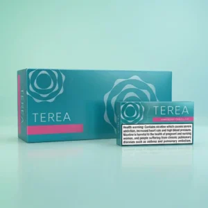 Terea Turquoise Sticks