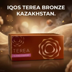 IQOS TEREA Bronze Kazakhstan in Dubai