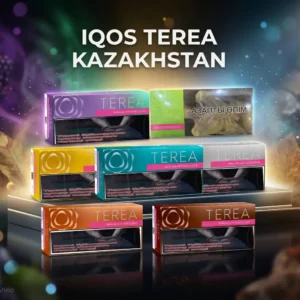 Buy Iqos Terea Kazakhstan in Dubai