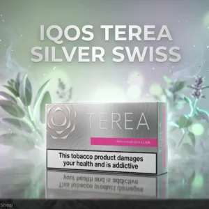 Buy Iqos Terea Silver Swiss in Dubai