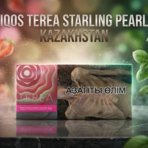 Buy IQOS Terea Starling Pearl Kazakhstan in Dubai