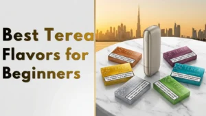 Best Terea Flavors for Beginners: A Complete Guide for Dubai Users