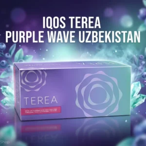 IQOS TEREA Purple Wave Uzbekistan HeatSticks for IQOS ILUMA available in Dubai UAE with grape menthol flavor